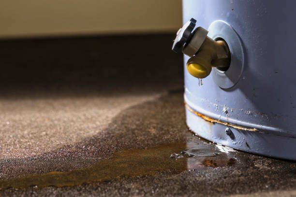 , MT Water damage restoration Company
