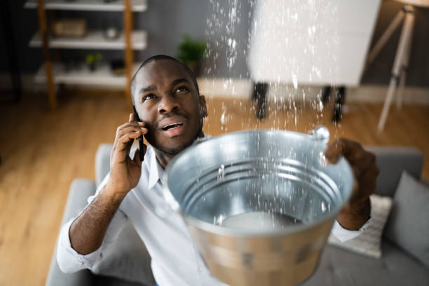 Best Mold removal after water damage  in Plentywood, MT