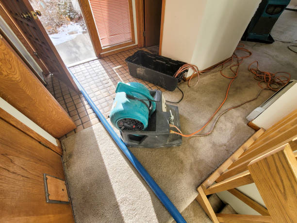 Best Ceiling water damage repair  in Plentywood, MT