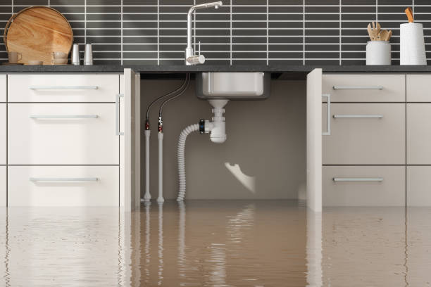 Best Water damage restoration near me  in Plentywood, MT