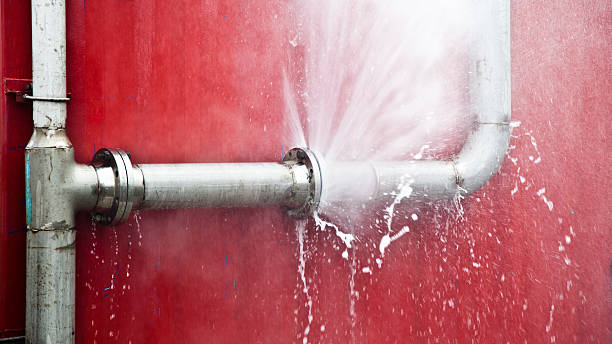 Best Water damage repair service  in Plentywood, MT